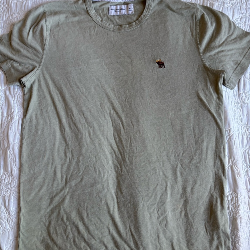 Abercrombie & Fitch Sage Green Short Sleeve Tee Size Medium